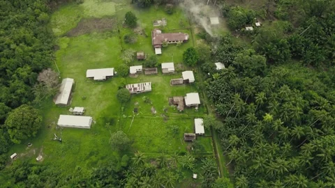 Rural Village in forest Stock Footage 327154510