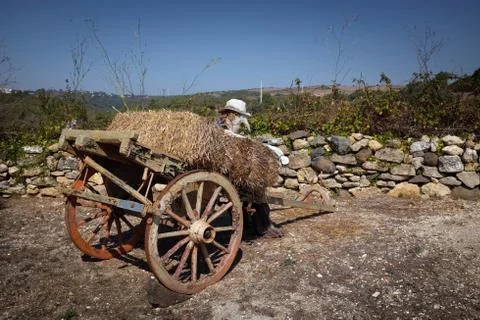 Rural Wagon Stock Photos