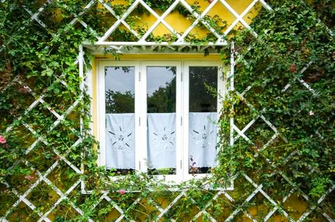 Rural window framed by tree Stock Photos