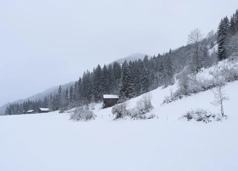 Rural winter background. Stock Photos