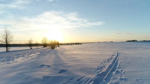 Rural winter landscape. Video stock 102050818