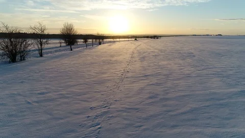 Rural winter landscape. Video stock 102051448