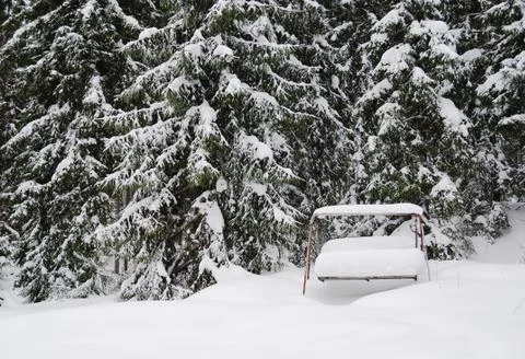Rural winter landscape Foto stock