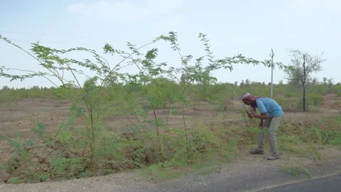 Rural Worker Digging Beside Road Video stock 314146876