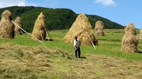 Rural worker Stock Footage 701162