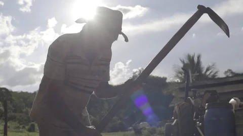 Rural worker using a hoe Stock Footage 85768623