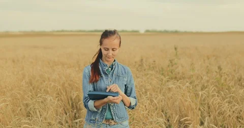 Rural worker writes records to a tablet. Girl agrarian carries out work in the Video stock 114402108