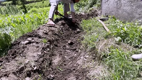 Rural Workers Engaged in Community Development Near Their Homes Vídeos de archivo 339780167