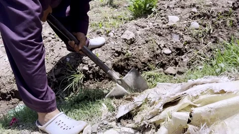 Rural Workers Engaged in Community Development Near Their Homes Stock Footage 339780179