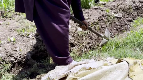 Rural Workers Engaged in Community Development Near Their Homes Stock Footage 339780182