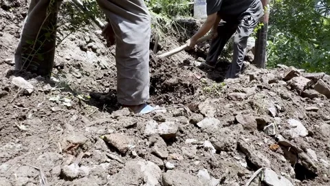 Rural Workers Engaged in Community Development Near Their Homes Видео 339780290