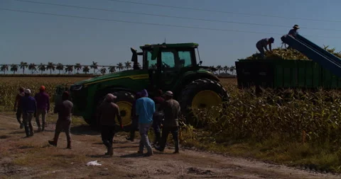 Rural Workers Stock Footage 250053380