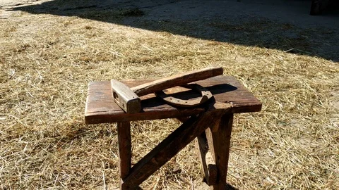 Rural yard. Stock Footage 98215619