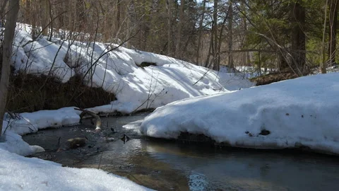 Rus flows in the spring. Stock Footage 106079261