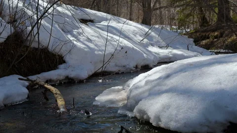 Rus flows in the spring. Stock Footage 106080004