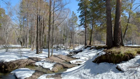 Rus flows in the spring. Stock Footage 106080930
