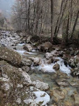 Ruscello 스톡 사진