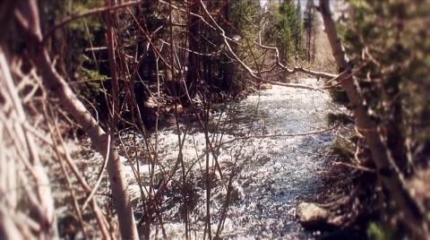 Rush creek at june lake Stock Footage 1020046