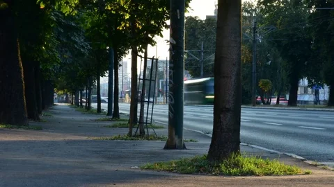 Rush Hour Stock Footage 82798470