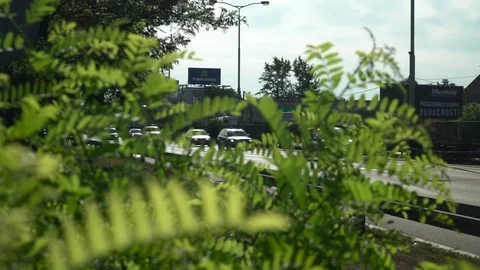 Rush hour, traffic jam, view through bushes on cars while driving on freeway. Stock Footage 82468288