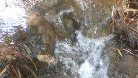 The Rush of a Small Stream Stock Footage 334590395