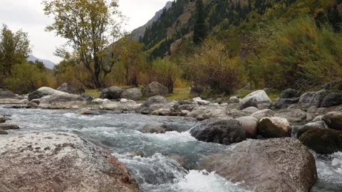 Rushing alpine creek bordered by autumn trees and rocks after rain Stockbeeldmateriaal 346421960