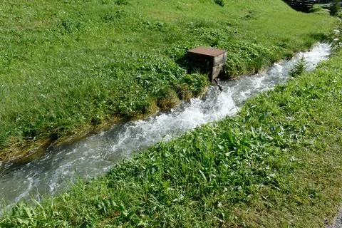Rushing Alpine Stream Stock Photos