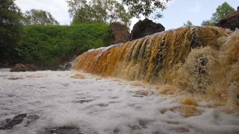 Rushing brown waterfall in a green forest 库存影片 322666361