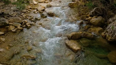 Rushing bubbling water of a mountain river. Nature composition. 스톡 동영상 81456064