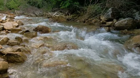 Rushing bubbling water of a mountain river. Spring rill flow. 스톡 동영상 81459220
