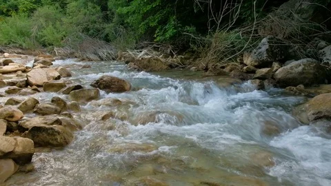 Rushing bubbling water of a mountain river. Spring rill flow. Video stock 81459902