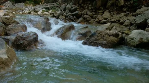 Rushing bubbling water of a mountain river. Spring rill flow. Video stock 81460811