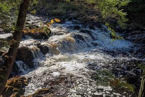 Rushing Cascade Deep in the Forest Photos