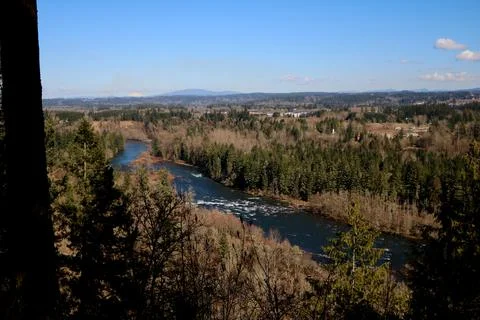The rushing clackamas river surrounded by trees and a blue sky Stock Photos