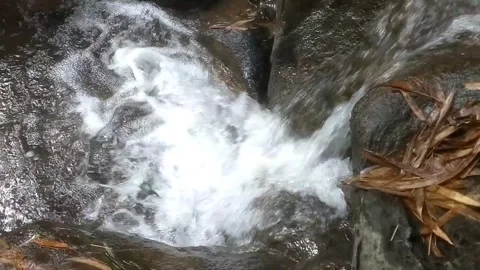 Rushing Clear Water Stream Flowing Through River Rocks Stock Footage 334590073