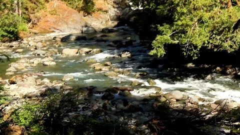 Rushing Creek 3 Stock Footage 79039967