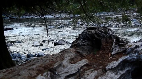 Rushing Creek 4 Stock Footage 79039974