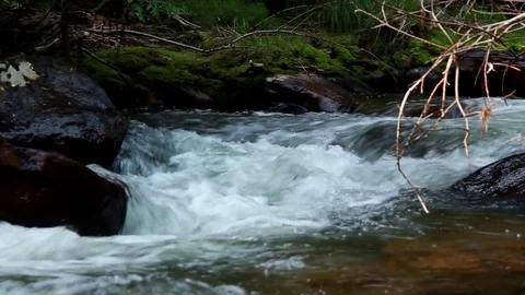 Rushing Creek 5 Stock Footage 79040003