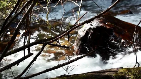 Rushing Creek 6 Stock Footage 79040005