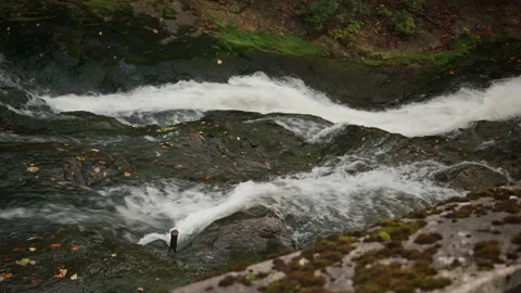 Rushing Creek Current Threading Between Dark Rock Slabs Stock Footage 345769021
