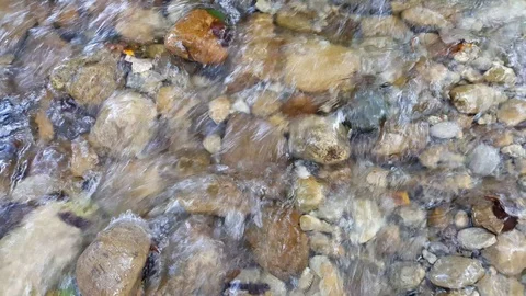 Rushing creek Stock Footage 122619897