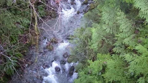 Rushing creek Stock Footage 172565568