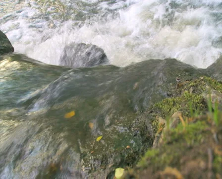 Rushing Creek Loop - PAL Stock Footage 4975046