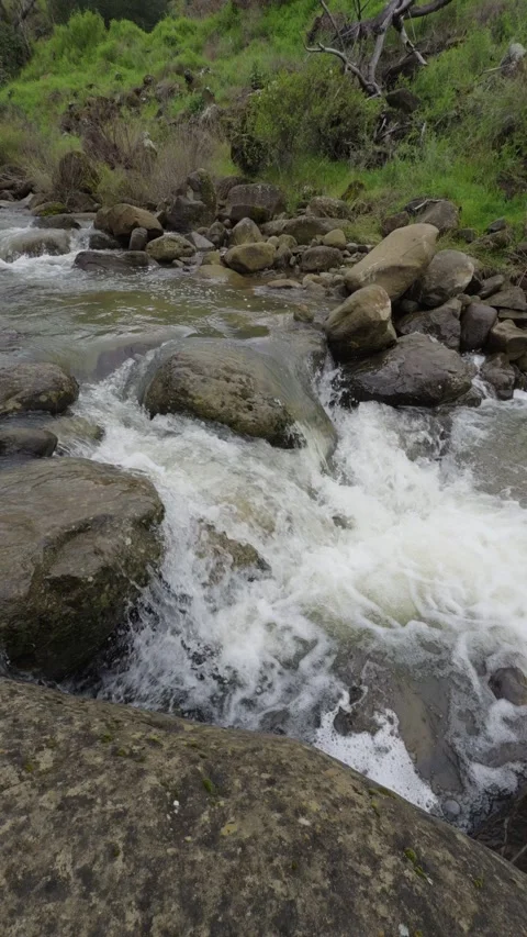 Rushing creek rapids over rocks in Yolo County Stock Footage 332632413