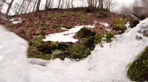 Rushing Flow of Water of the Stream in a Forest in the Mountains Close up Stock Footage 64032781