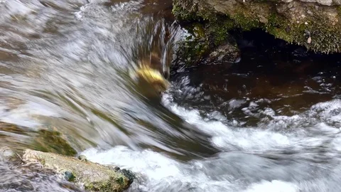 Rushing foamy water. Fast-running stream Stock Footage 104878984