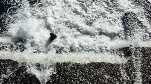 Rushing foamy water Stock Footage 104901309