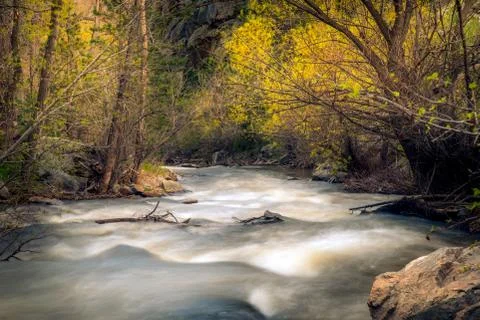 Rushing forest river Stock Photos