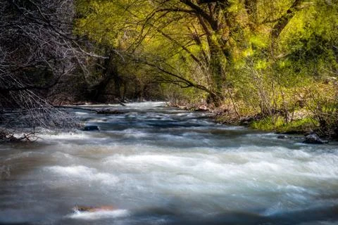 Rushing forest river Stock Photos