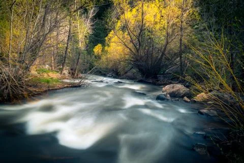 Rushing forest river Stock Photos